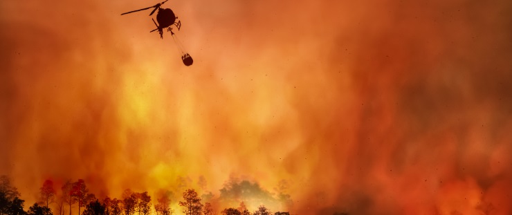 Banner lesní požár