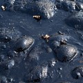 Oil pollution