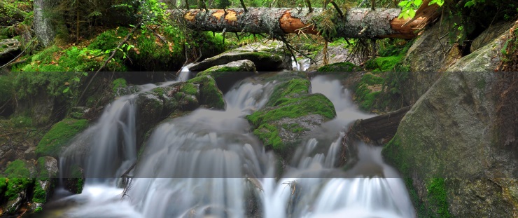 Národní park Šumava