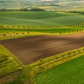 Field aerial photo